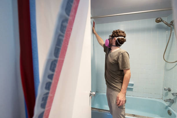 Best Mold Removal for HVAC Installations  in Avalon, CA