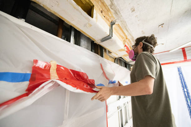 Reliable Avalon, CA Mold Removal Solutions