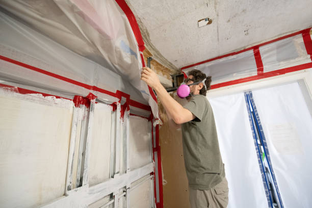 Environmental Consulting for Mold Prevention in Avalon, CA