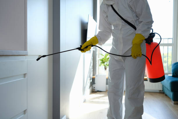 Best Forensic Mold Investigation  in Avalon, CA
