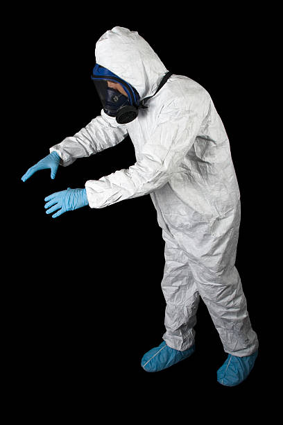 Best Asbestos and Lead Testing During Mold Inspection  in Avalon, CA