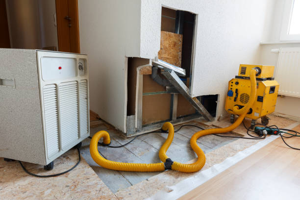 Best Post-Construction Mold Inspection  in Avalon, CA